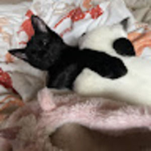 Meet your Posher, Audrey